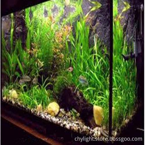 5050 Best Waterproof Whole Injection LED Strip Lights for Aquarium